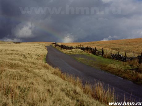 -  Cumulonimbus (Cb)