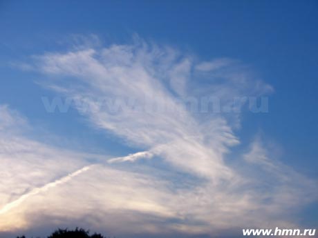   - Cirrus spissatus (Ci sp)