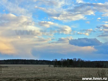 -  - Stratocumulus 
  diurnalis (Sc diur)